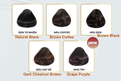 Скоростна шампоан за боядисване на коса от естествена японската органична боя за коса (10 бр/кутия), 5 цвята за