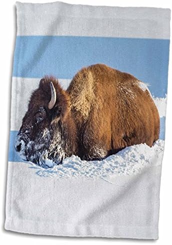 3D Rose Уайоминг-Национален парк Йелоустоун-Кърпа за ръце Bison Cow Breaking Trail, 15 x 22, Многоцветное