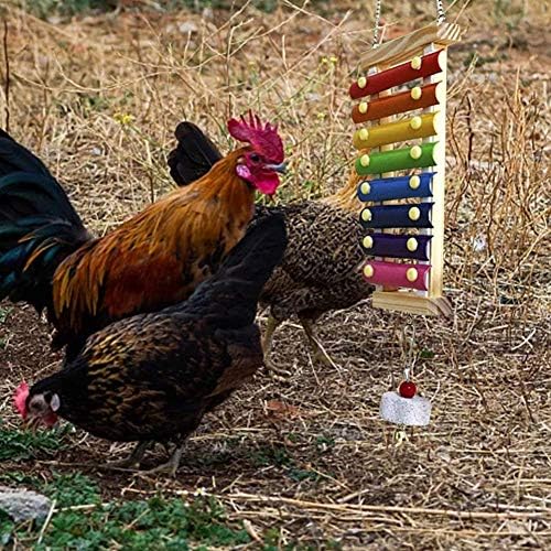 Терынбат Окачен пилешка ксилофон играчка за домашни пилета, среден и голям папагал играчка за домашни пилета петел, пиле