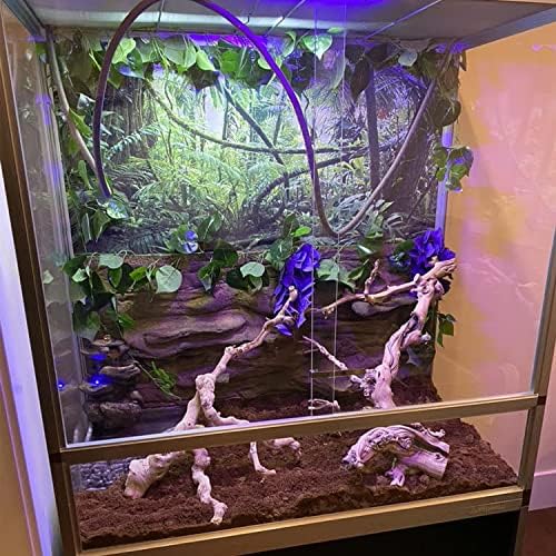 Аксесоари за аквариум Linifar Bearded Dragon, Гъвкави Къдрава пълзящо растение със Зелени листа, за гекони, Змии, Хамелеони, Раци-отшелници и Влечуги