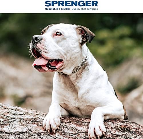 Нашийник за кучета Herm Sprenger от неръждаема стомана Ultra-Plus с превръщането на D-образен пръстен, 3 допълнителни